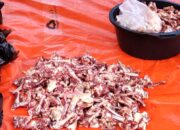 Makan Daging Kurban Tanpa Cemas Kolesterol Naik, Begini Tipsnya
