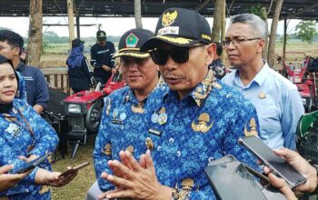 Pertahankan Lahan Produktif di Tengah Kota, Wali Kota Malang Serahkan Bantuan Pertanian ke Petani Wonokoyo