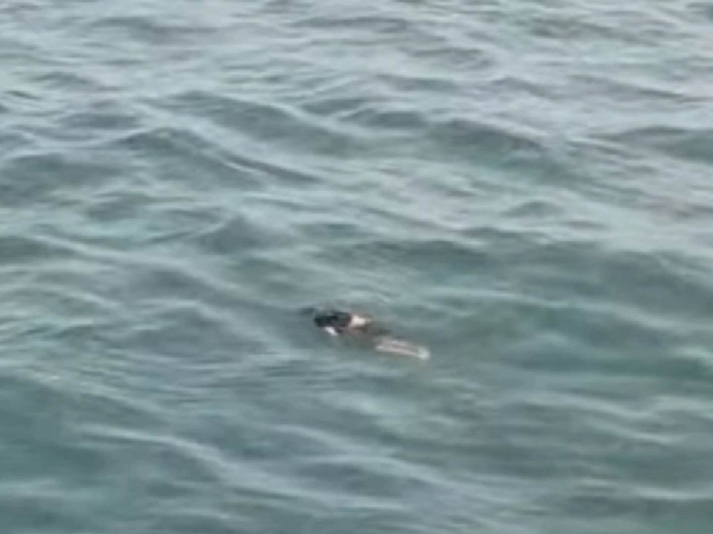 Dua Wisatawan Terseret Ombak di Pantai Ungapan Malang, Satu Korban belum Ditemukan