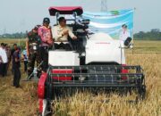 Panen Modern Perdana di Tlogowaru, Wali Kota Malang: Empat Hektare Selesai Dua Hari