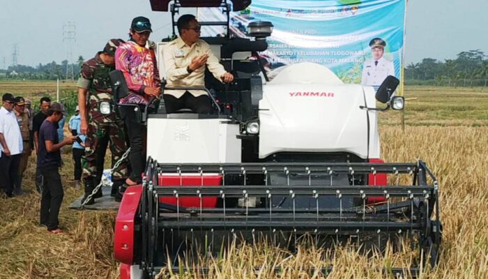 Panen Modern Perdana di Tlogowaru, Wali Kota Malang: Empat Hektare Selesai Dua Hari