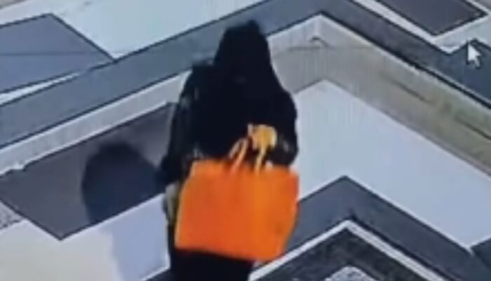 Seorang Wanita Diduga Curi Tas Jamaah saat Salat Maghrib di Masjid Agung Jami’ Malang