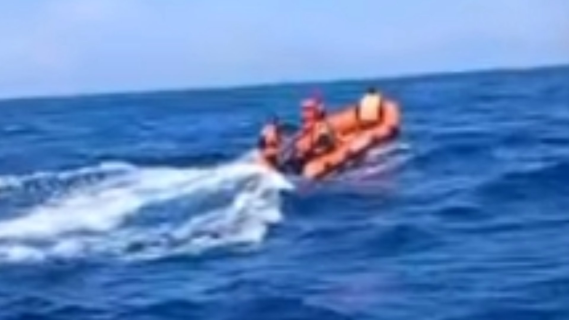 Hari Keempat Pencarian, Nelayan Sendangbiru yang Hilang Belum Ditemukan, Tim SAR Sisir Perairan Pulau Sempu