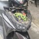Naik Motor Bareng Anak, Tiba-Tiba Kepala Ular Muncul dari Setang