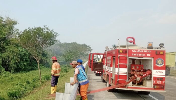 Kebakaran Lahan di Ruas Jalan Tol Gempol-Pasuran, Petugas Sigap Padamkan Api
