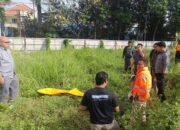 Heboh! Mayat Pria Misterius Ditemukan di Rerumputan Sawojajar Malang
