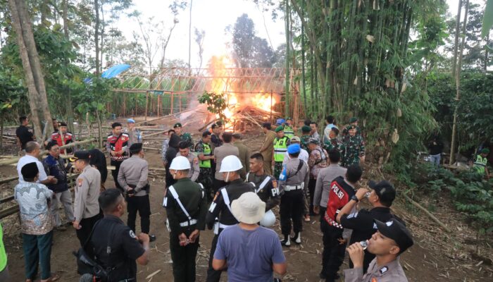 Arena Sabung Ayam di Kampung Blandit Singosari Malang Digerebek Operasi Gabungan