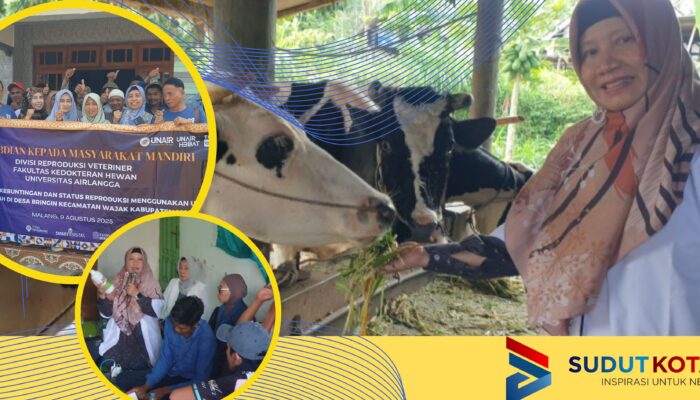 Pengmas di Desa Beringin, Dosen FKH Unair Pulihkan Kesehatan Sapi Pasca Wabah PMK