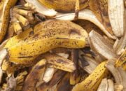 Jangan Buang Limbah Kulit Pisang Kepok !
