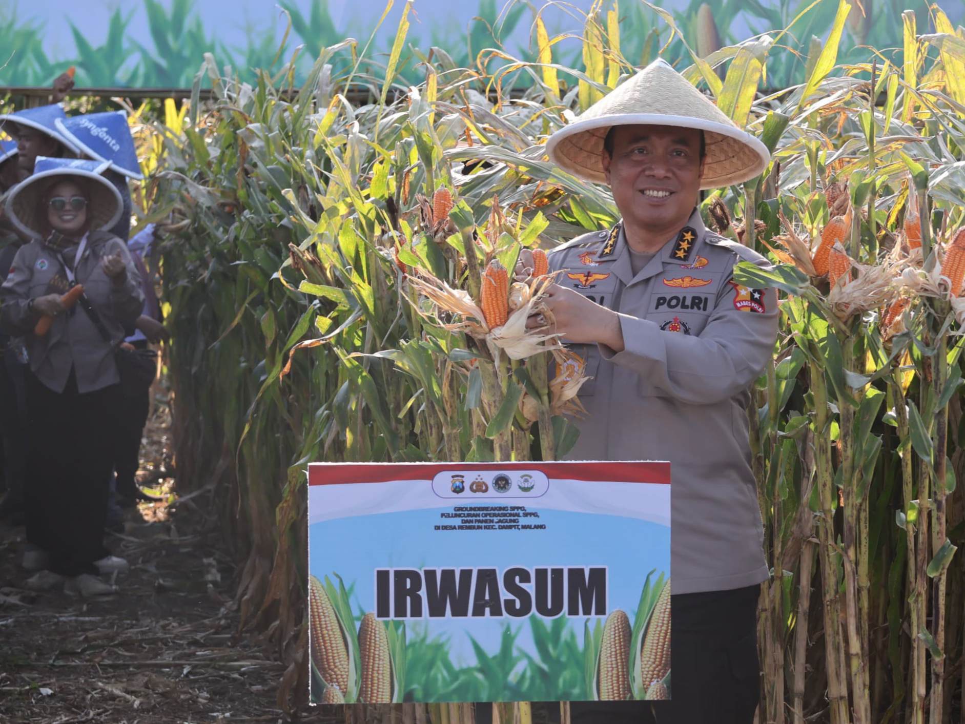 Petani Jagung di Malang Panen Raya, Polri Dampingi dari Tanam Hingga Jual Hasil