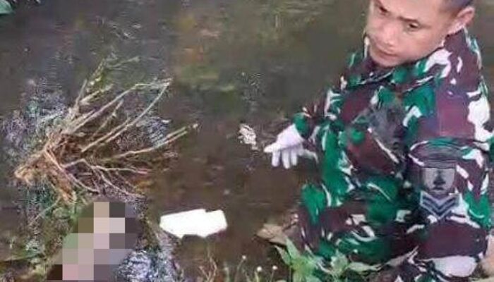 Tragis, Bayi Laki-laki Baru Lahir Ditemukan Tak Bernyawa di Sungai Desa Pamotan