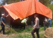 Polres Malang Bongkar Dua Arena Sabung Ayam, Warga Diminta Waspada