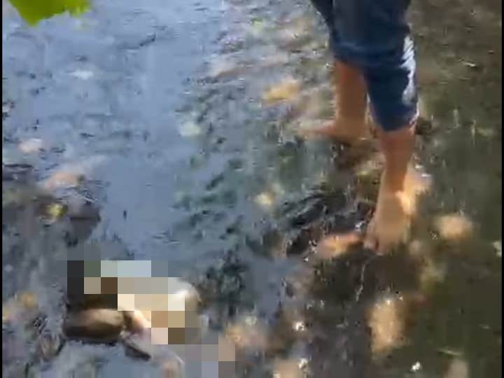 Mayat Bayi Laki-Laki Gegerkan Warga Malang, Ditemukan di Saluran Irigasi Tegal Gondo