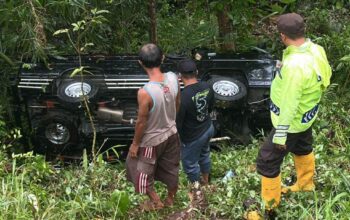Mobil Pick Up Masuk Jurang di Wonosari Malang, Sopir Hanya Alami Luka Ringan