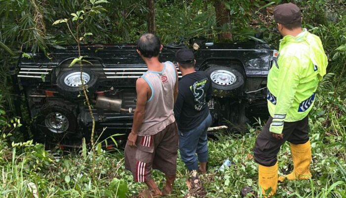 Mobil Pick Up Masuk Jurang di Wonosari Malang, Sopir Hanya Alami Luka Ringan