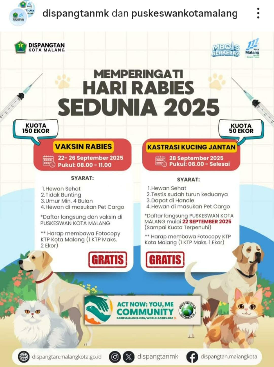 Peringati Hari Rabies Sedunia 2025, Pemkot Malang Gelar Vaksinasi Gratis dan Kastrasi Kucing Jantan