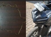 Aksi penjambretan menimpa seorang nenek berusia 85 tahun di Kecamatan Wonosari, Kabupaten Malang. Pelaku, pria berinisial M (55) asal Tajinan, berhasil ditangkap polisi bersama barang bukti kalung emas milik korban.