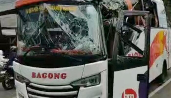 Bus Bagong Tabrak Pohon di Kepanjen, Arus Lalu Lintas Sempat Macet