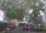 Wujudkan Kota Ramah Lingkungan, Pemkot Malang Gelontorkan Program Penghijauan Besar-besaran