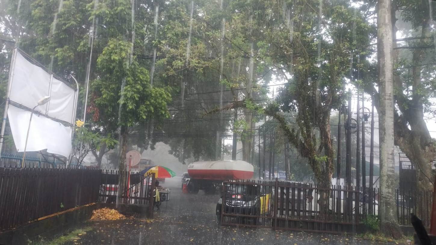 Wujudkan Kota Ramah Lingkungan, Pemkot Malang Gelontorkan Program Penghijauan Besar-besaran