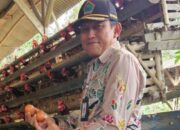 Stok Beras di Kota Malang Diprediksi Melimpah pada Akhir 2025