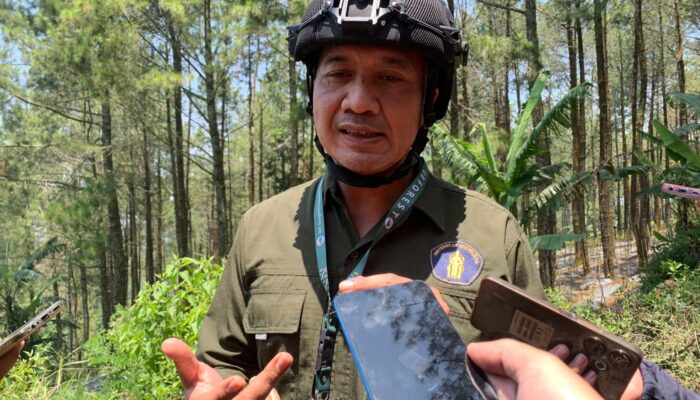 Dukung Iklim dan Konservasi, UB Perkuat Skema Carbon Trading dan Adopsi Pohon Langka