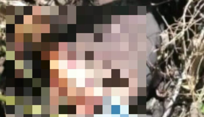 Heboh Penemuan Mayat di Gunung Arjuno, Dikira Pendaki Tersesat Ternyata Lakukan Ritual