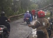 Cuaca Ekstrem Hantam Desa Urek-Urek, Empat Rumah Rusak Diterjang Angin Kencang