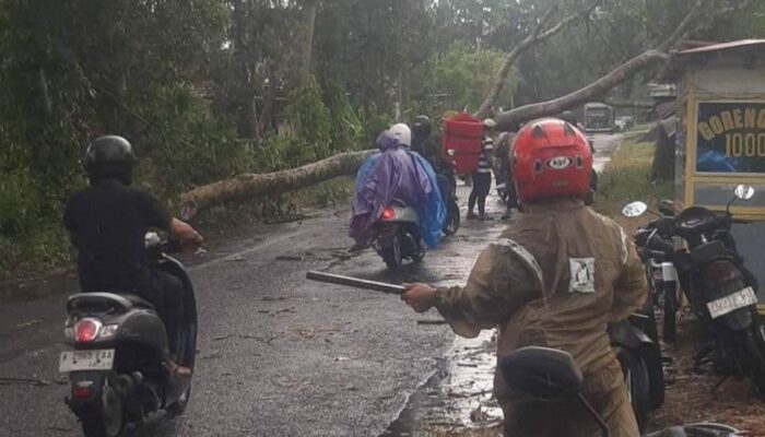 Cuaca Ekstrem Hantam Desa Urek-Urek, Empat Rumah Rusak Diterjang Angin Kencang