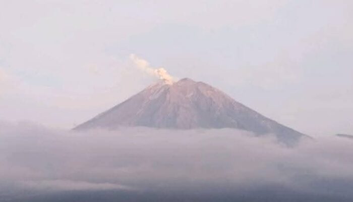 Gunung Semeru Dua Kali Erupsi, Masih Keluarkan Asap dan Lava Hingga Sore