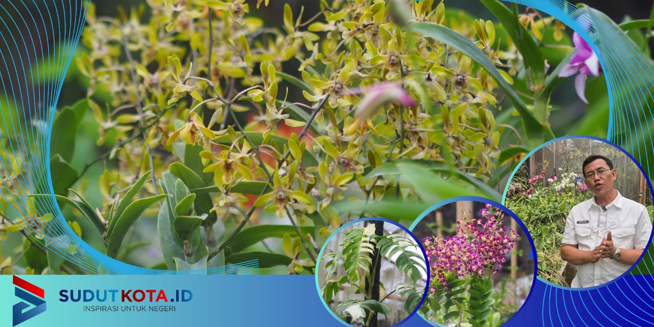 Dari Balik Jeruji, Ciptakan Varietas Anggrek Baru dan Raih Empat Penghargaan Internasional