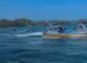 Kapal Nelayan Albakor Hilang Kontak, Empat ABK Diduga Jadi Korban Laka Laut di Sendang Biru