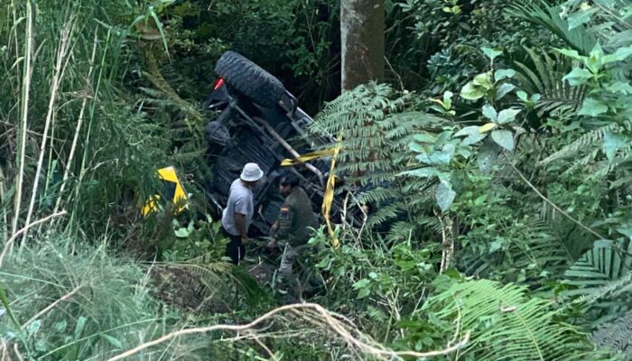 Jeep Wisata Jalur Bromo Terjun ke Jurang di Ngadas, Tiga Orang Luka