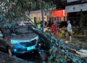 Truk Kontainer Tabrak Pohon, Avanza Tertimpa di Depan SMP NU Ngadilangkung