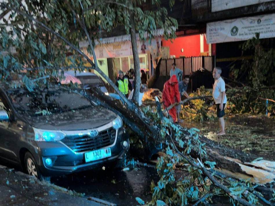 Truk Kontainer Tabrak Pohon, Avanza Tertimpa di Depan SMP NU Ngadilangkung