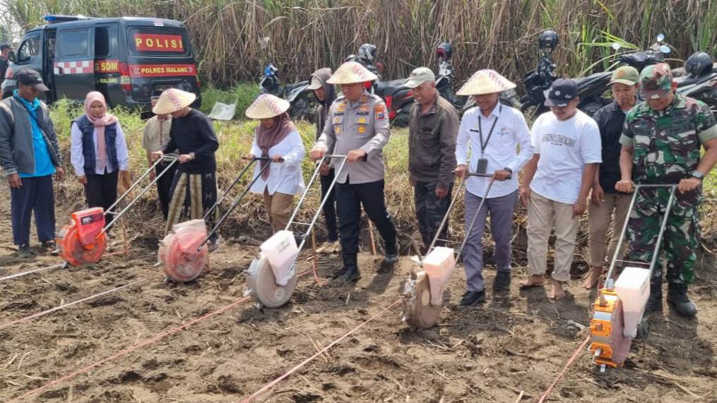 Polres Malang Dorong Swasembada Jagung, 787,6 Hektare Lahan Sudah Tertanami di Kuartal IV