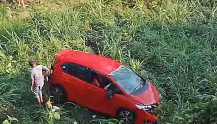 Diduga Sopir Mengantuk, Honda Jazz Merah Terperosok ke Jurang di Perbatasan Pagelaran–Bantur