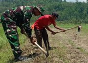 Jalan Cor Baru Program TMMD ke-126 Dorong Ketahanan Pangan dan Efisiensi Distribusi Hasil Tani