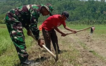 Jalan Cor Baru Program TMMD ke-126 Dorong Ketahanan Pangan dan Efisiensi Distribusi Hasil Tani