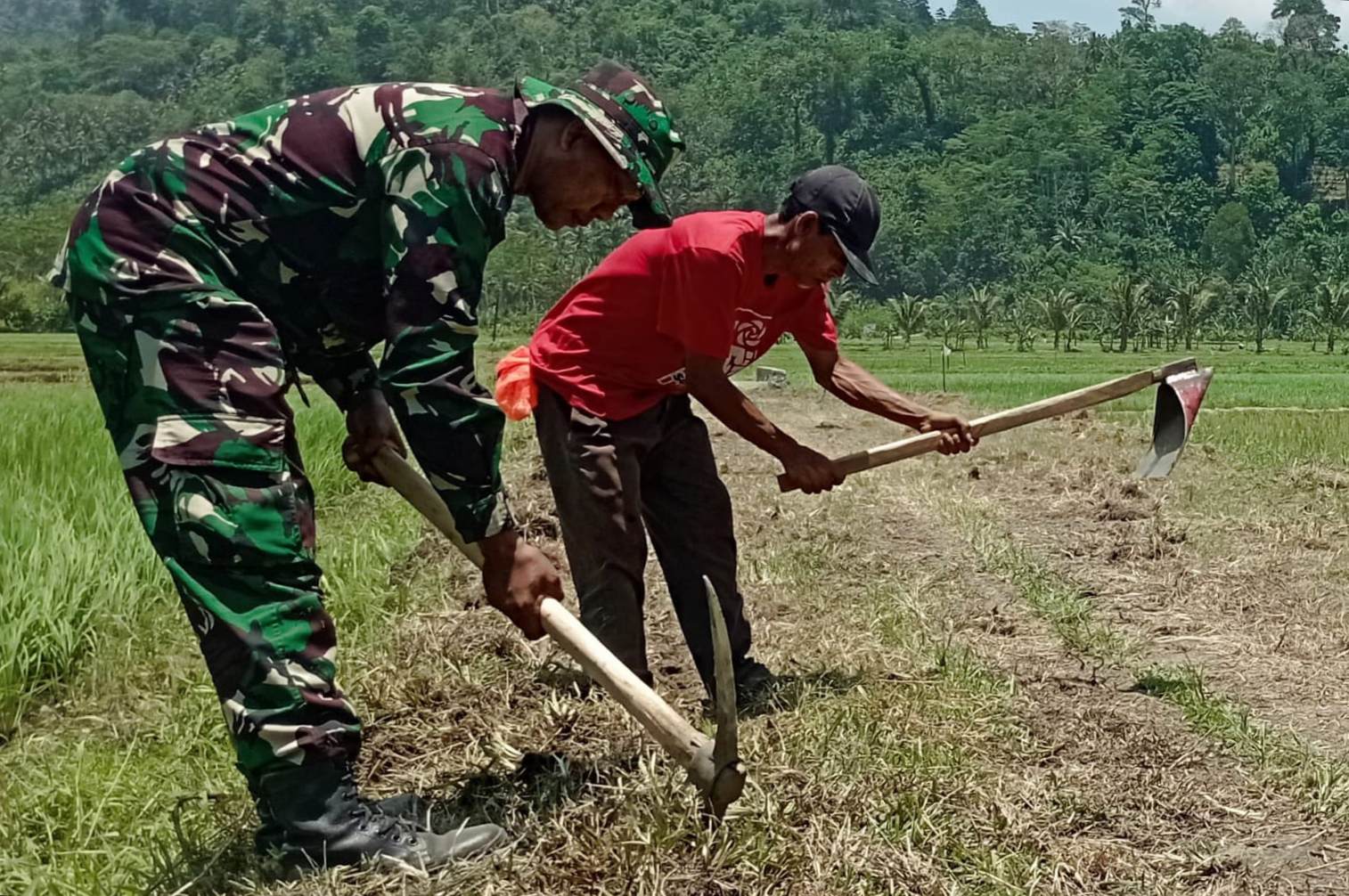 Jalan Cor Baru Program TMMD ke-126 Dorong Ketahanan Pangan dan Efisiensi Distribusi Hasil Tani