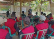 Inovasi Pengolahan Pakan Ternak Murah dan Bergizi Tinggi Dorong Produktivitas Peternak di Lebakharjo