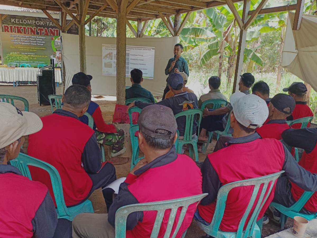 Inovasi Pengolahan Pakan Ternak Murah dan Bergizi Tinggi Dorong Produktivitas Peternak di Lebakharjo