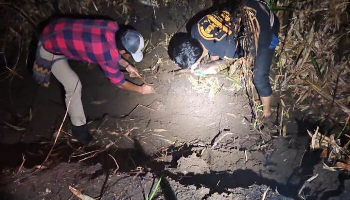 Terungkap, Mayat Wanita Terbakar di Kebun Tebu Gedangan Ternyata Warga Sumbermanjing Wetan