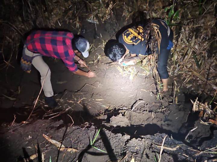 Terungkap, Mayat Wanita Terbakar di Kebun Tebu Gedangan Ternyata Warga Sumbermanjing Wetan