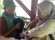 Program Sinergi TMMD 126 dan Dinas Peternakan Tingkatkan Kesehatan Hewan di Kabupaten Malang