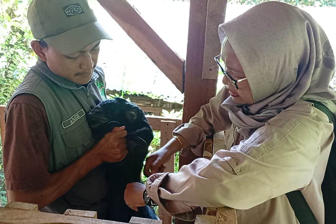 Program Sinergi TMMD 126 dan Dinas Peternakan Tingkatkan Kesehatan Hewan di Kabupaten Malang