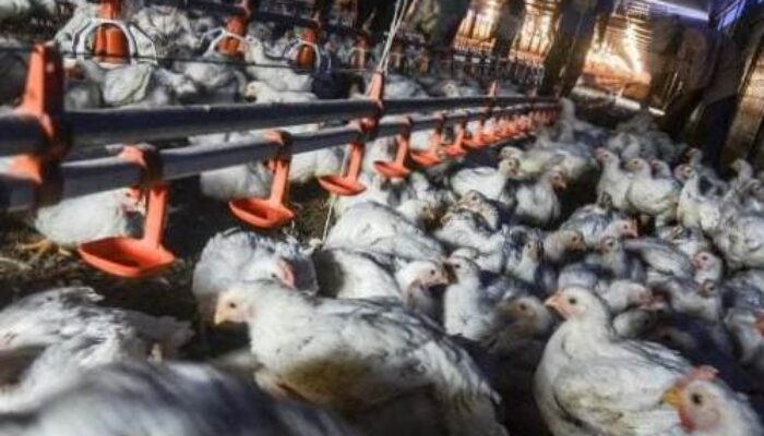 Ketika Wisata dan Peternakan Jadi Penyumbang PHK Terbanyak di Kota Batu