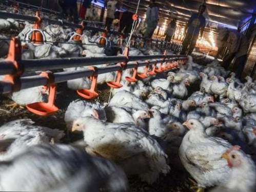 Ketika Wisata dan Peternakan Jadi Penyumbang PHK Terbanyak di Kota Batu