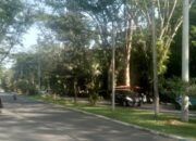 Trans Jatim Segera Lewati Sawojajar, Kadishub Kota Malang: Jalur Halte dan Armada Siap Uji Coba Akhir Oktober