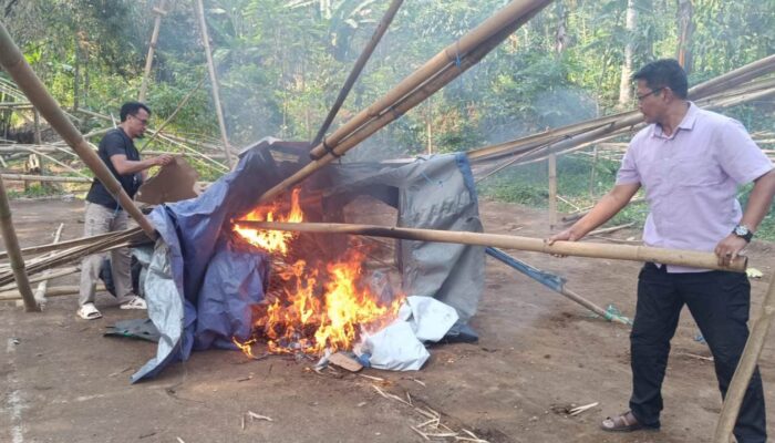 Polisi Bongkar Arena Sabung Ayam di Singosari, Warga Diminta Tak Takut Melapor